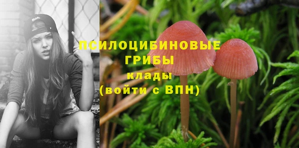 гидропоника Куйбышев